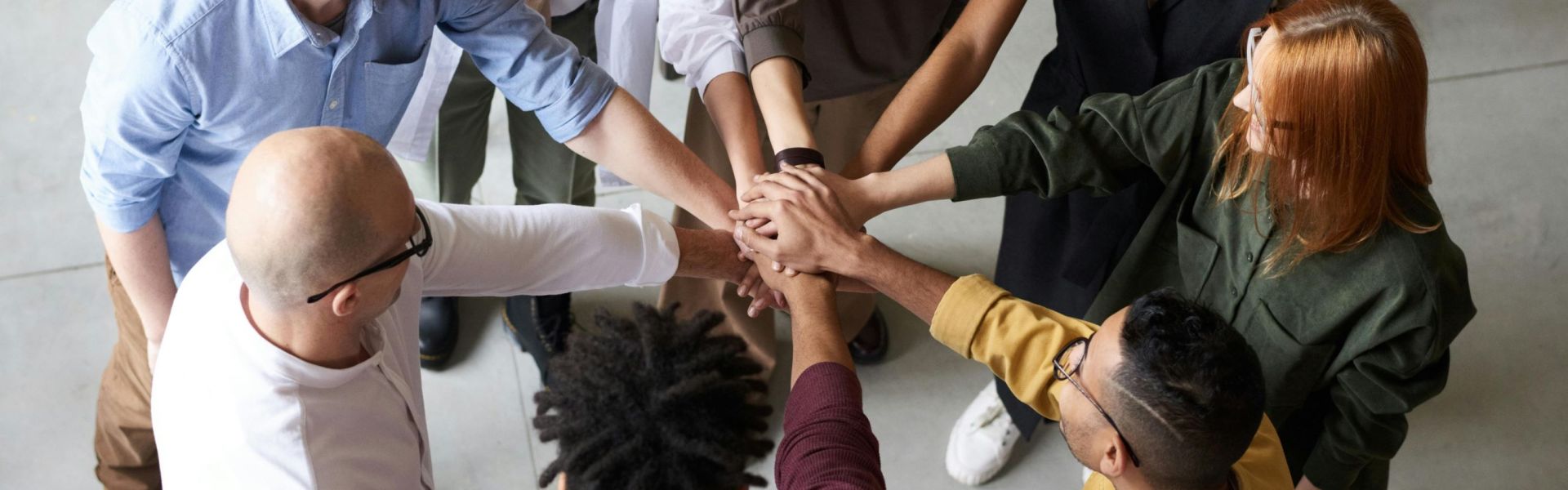 Polygonum - Community di Scambio